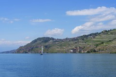 DSC0184
