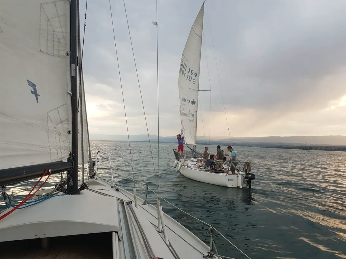 Gigaro-20190802