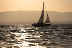 SPL280626_064