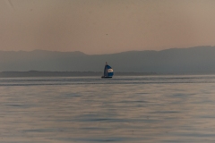 SPL280726_013