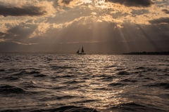 SPL280826_002