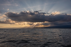 SPL280826_004