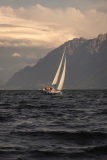 SPL280826_006